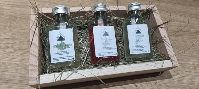Coffret sirop 10cl 